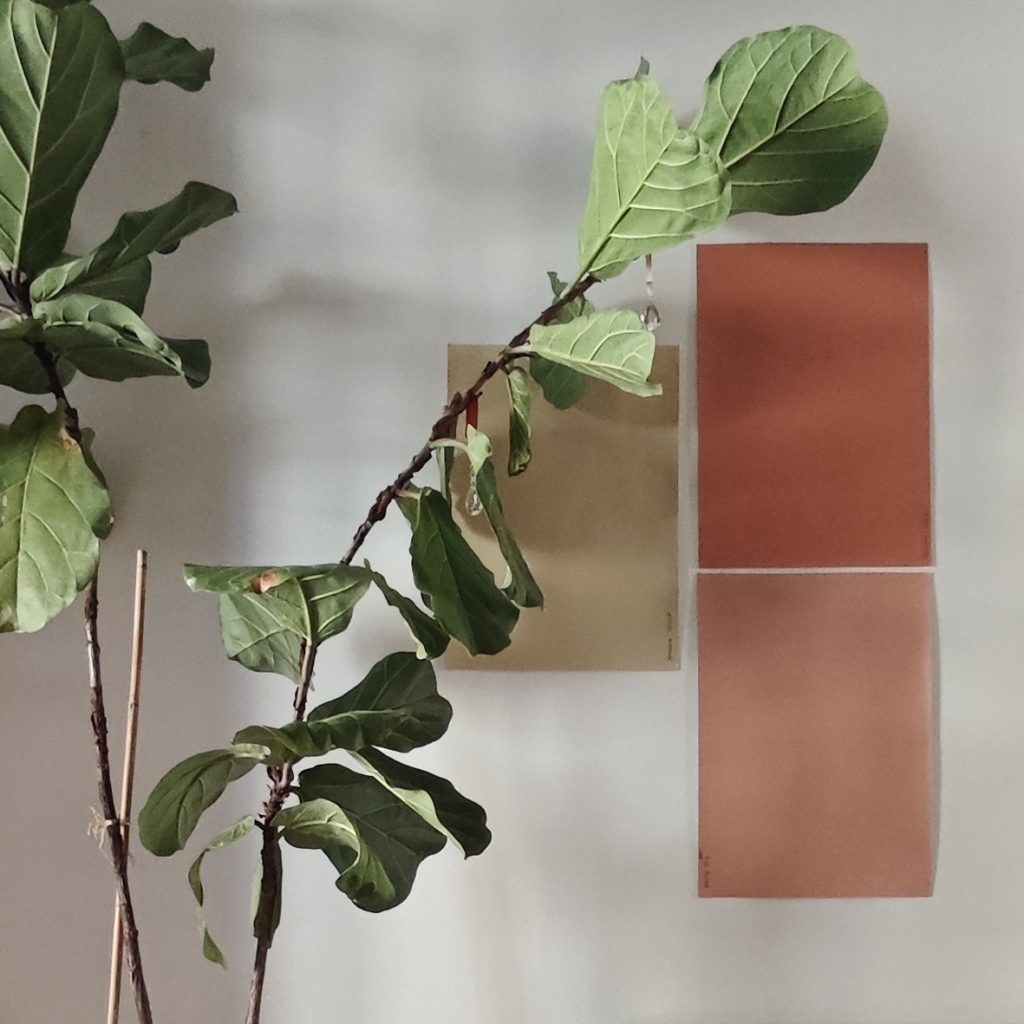 Association de végétal et d’échantillons de couleurs terracotta et naturelles pour un projet d’architecture d’intérieur à l’approche sensible